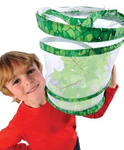 Living Twig Stick Insect Kit sold by Gifts for Little Hands