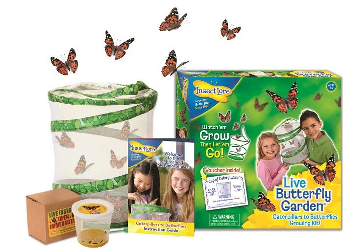 Insect Lore Butterfly Garden Home School Edition 